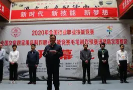 惊险一战：北京选手精湛技艺奏凯的简单介绍